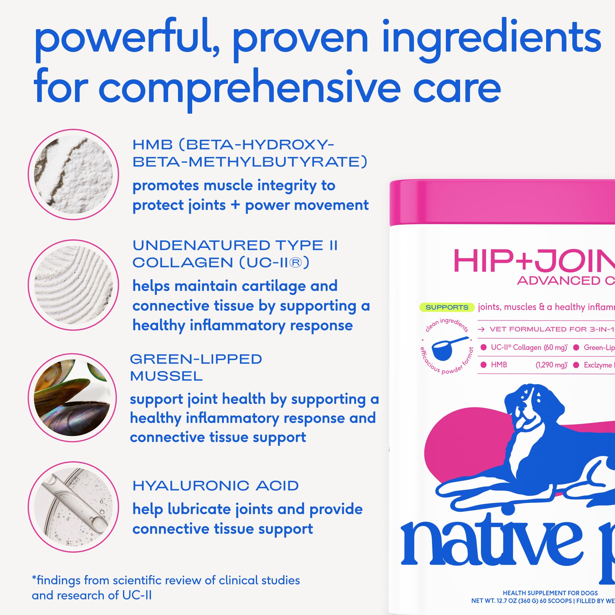 Native Pet Joint Health & Daily Wellness Pack: Hip & Joint Supplement for Dogs - Supports Joints, Cartilage, Muscles & Anti-Inflammatory & Dog Vitamins & Supplements - 11-in-1 Multivitamin Powder - 30 - Image 5
