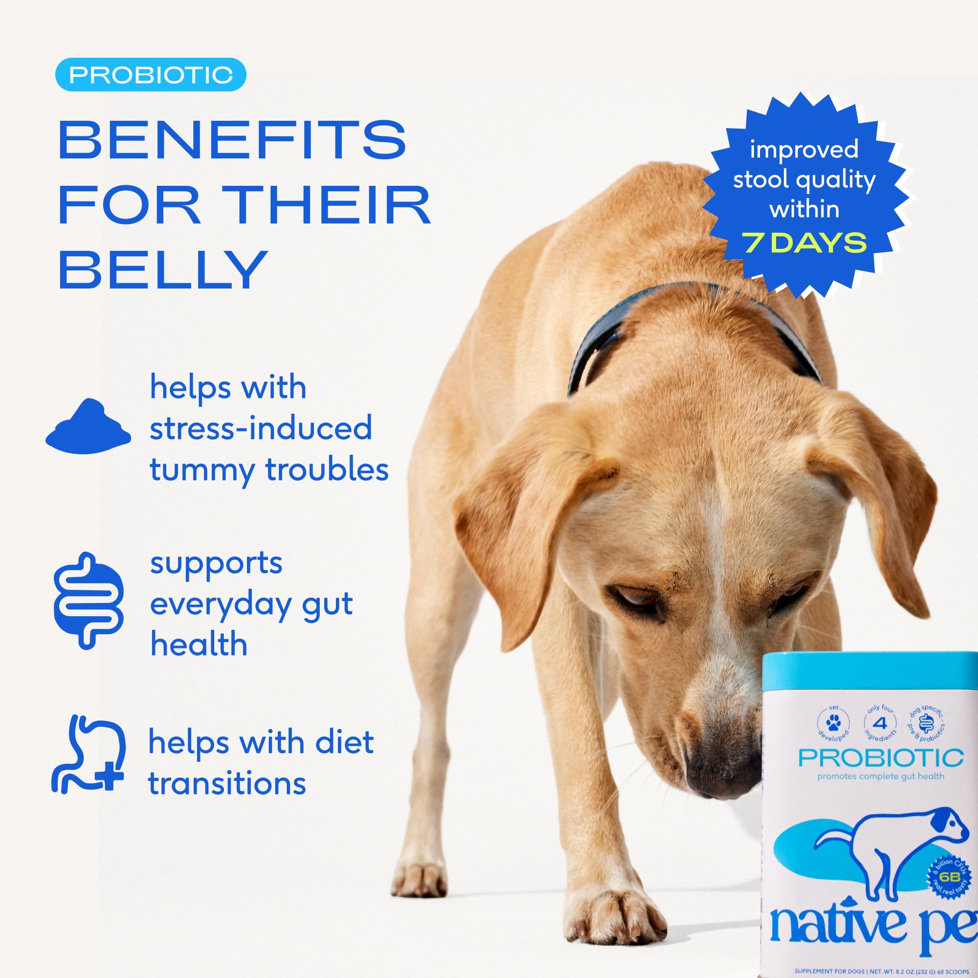 Native Pet Beef Bone Broth for Dogs (9.5 oz) & Probiotic for Dogs (16.4 oz.) - Dog Food Topper for Picky Eaters and Dog Probiotic Powder + Prebiotic + Bone Broth Powder for Dog Digestive Issues - Image 3