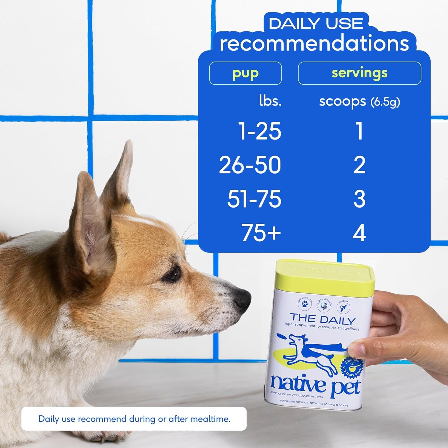 Native Pet Probiotic for Dogs (4.1 Oz.) & The Daily Dog Vitamins & Supplements (7 Oz.) - Vet Created Probiotic Powder for Digestive Issues & 11-in-1 Multivitamin with 21 Supplements & Vitamins - Image 7