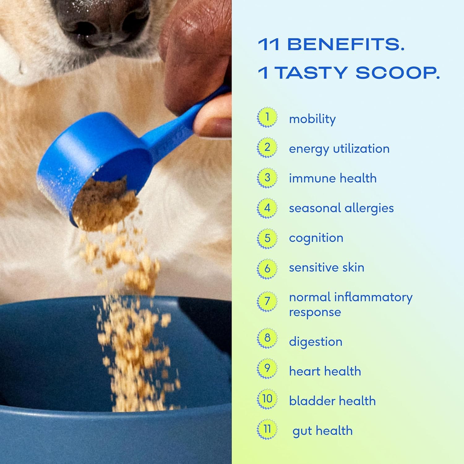 Native Pet Probiotic for Dogs (4.1 Oz.) & The Daily Dog Vitamins & Supplements (7 Oz.) - Vet Created Probiotic Powder for Digestive Issues & 11-in-1 Multivitamin with 21 Supplements & Vitamins - Image 4