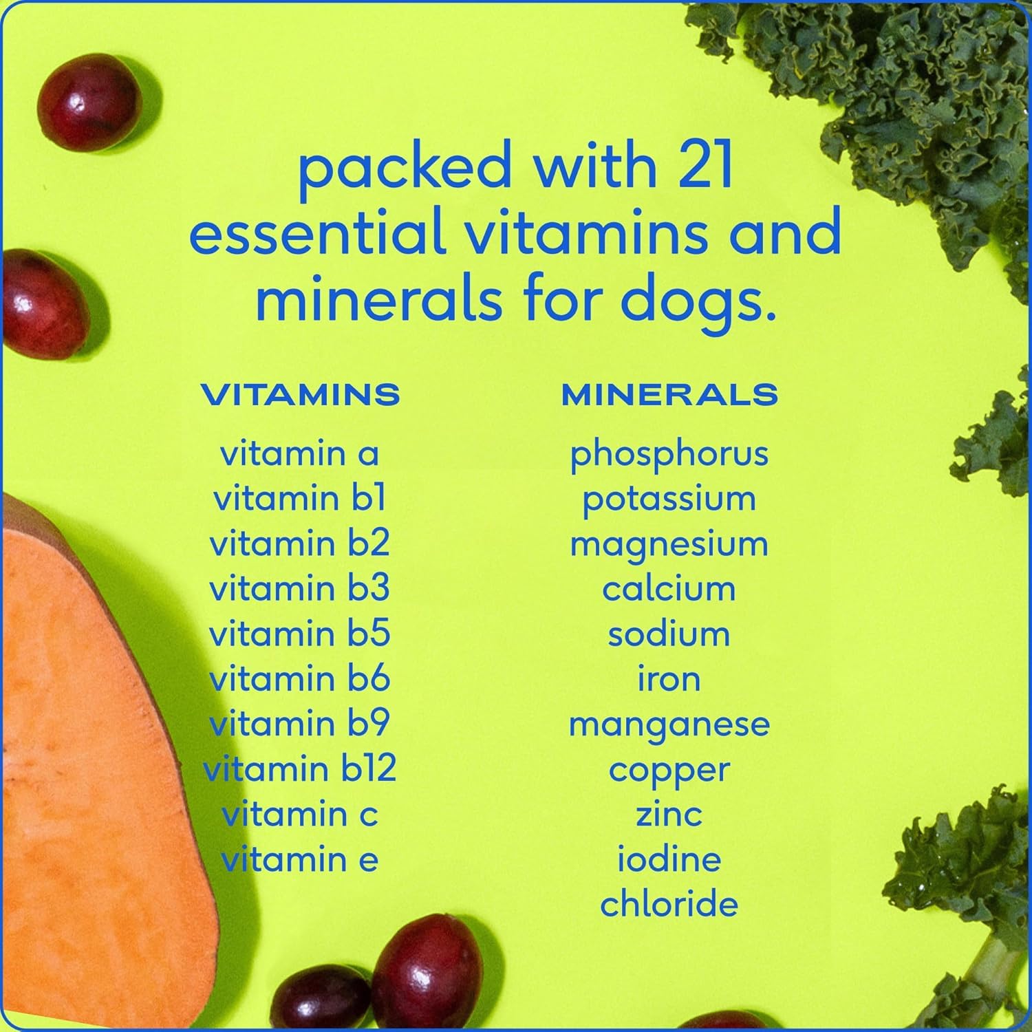 Native Pet Probiotic for Dogs (4.1 Oz.) & The Daily Dog Vitamins & Supplements (7 Oz.) - Vet Created Probiotic Powder for Digestive Issues & 11-in-1 Multivitamin with 21 Supplements & Vitamins - Image 5